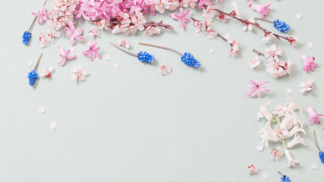 作品画像（サムネイル）