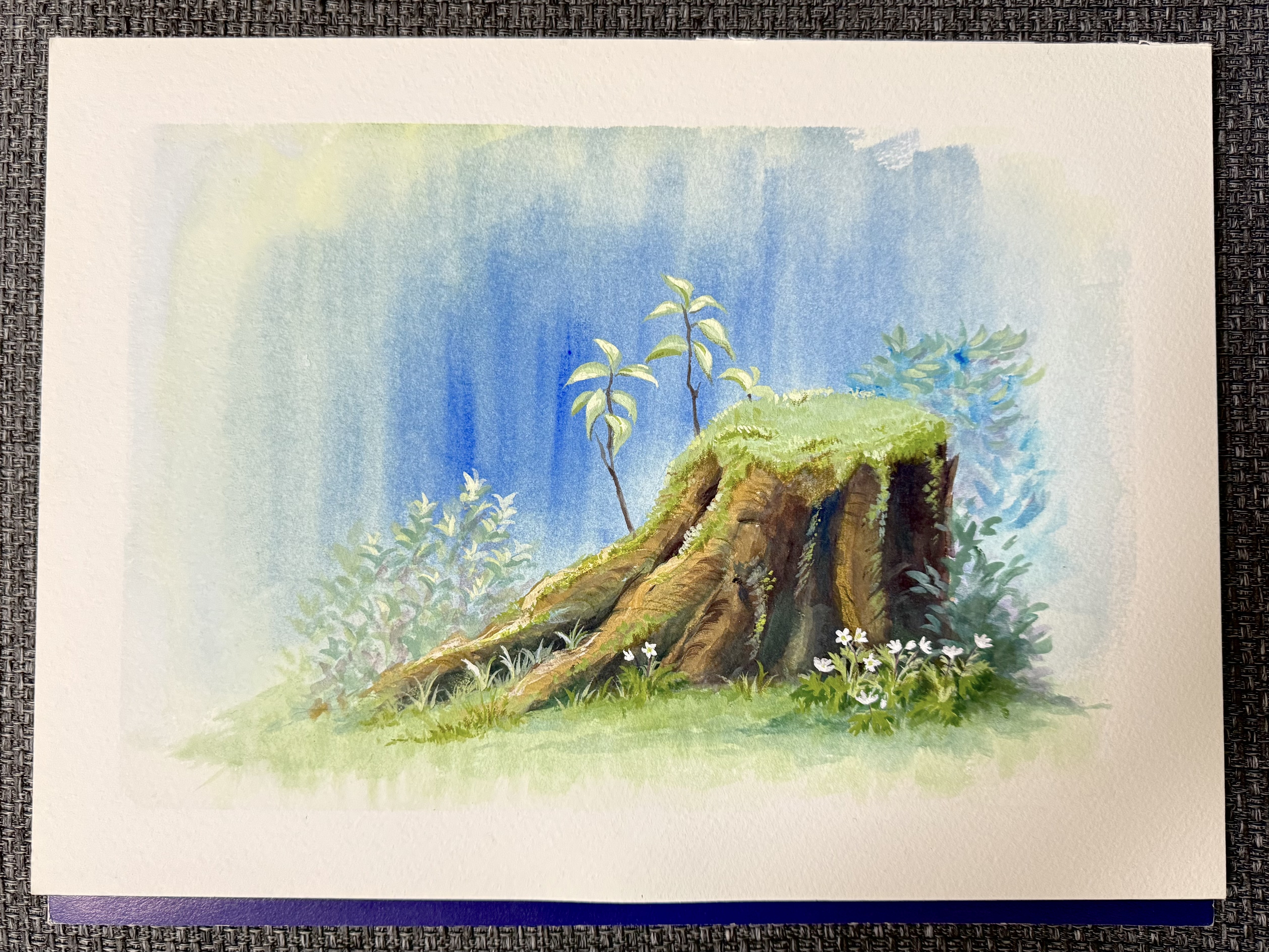 作品画像(原寸)