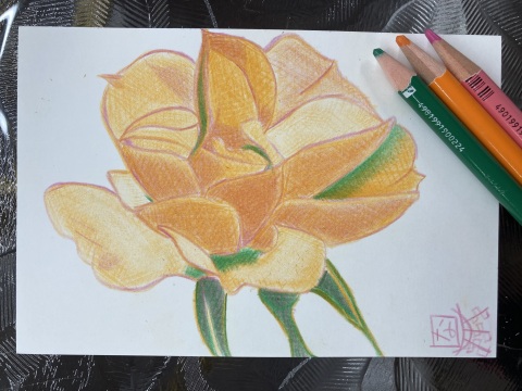 作品画像（サムネイル）