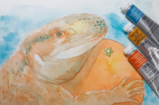 作品画像（サムネイル）