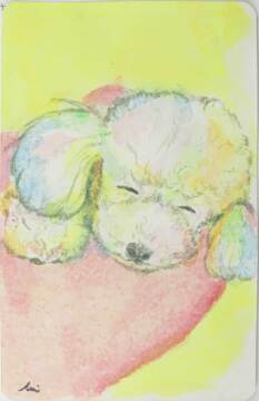 作品画像（サムネイル）