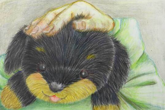 作品画像（サムネイル）