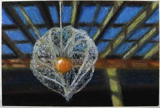 作品画像（サムネイル）