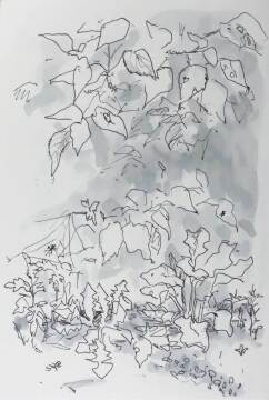 作品画像（サムネイル）