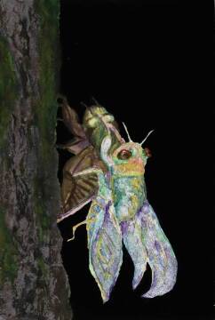 作品画像（サムネイル）