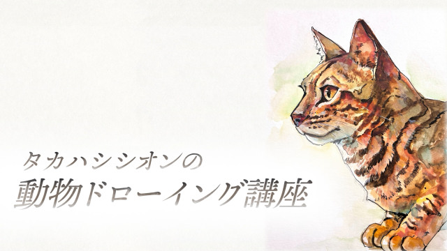 タカハシシオンの動物ドローイング講座 ～猫～の画像1（サムネイル）
