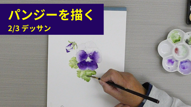 ボタニカルアート「パンジーを描く」 2/3 デッサンの講座イメージ1（サムネイル）