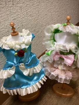 ぬい服を作ろう！(vol.0・ぬい服の世界へようこそ)の講座イメージ1（サムネイル）