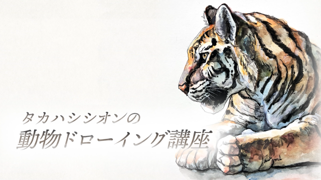 タカハシシオンの動物ドローイング講座 ～虎～の画像1（サムネイル）