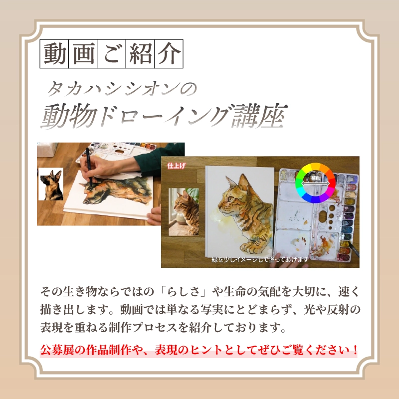 動画紹介