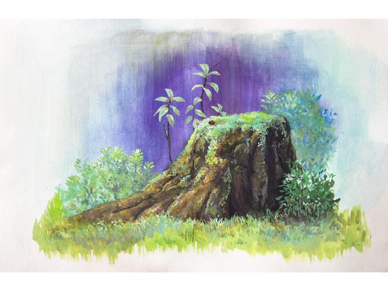 渡邊洋一賞作品.webp