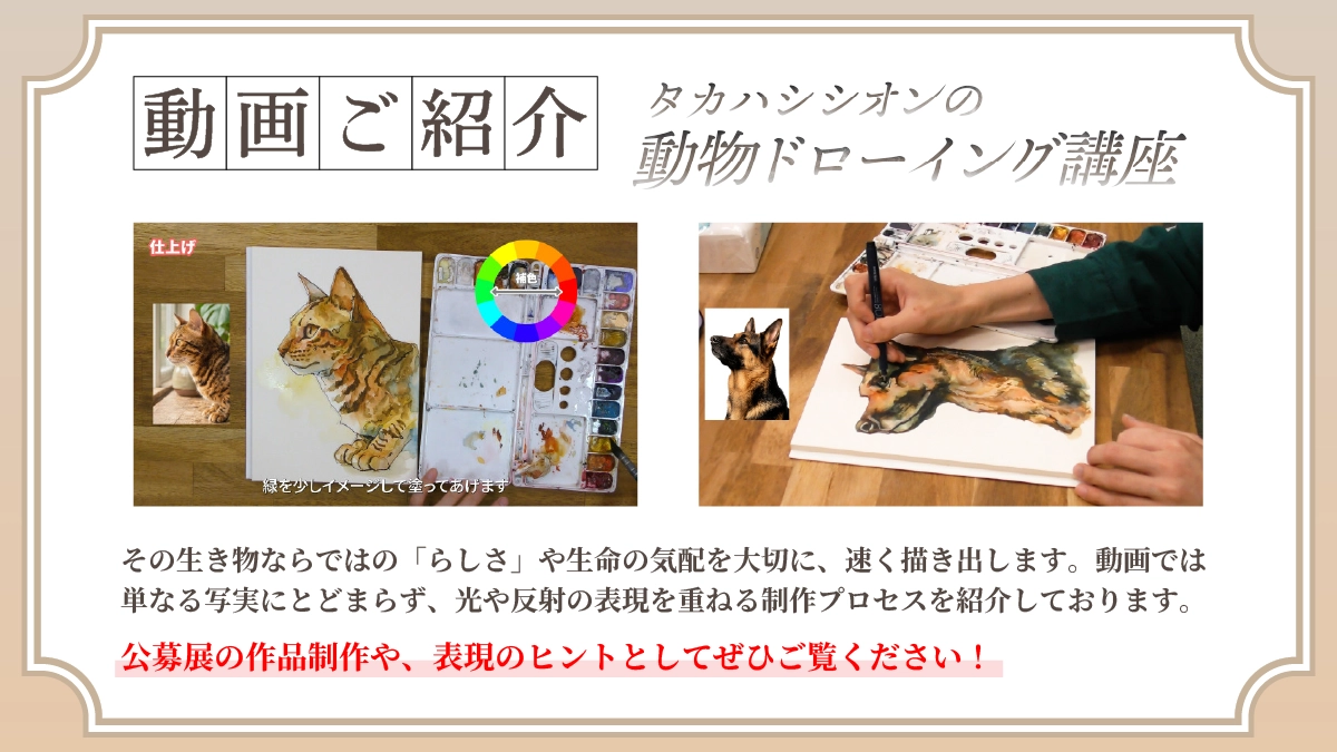 動画紹介